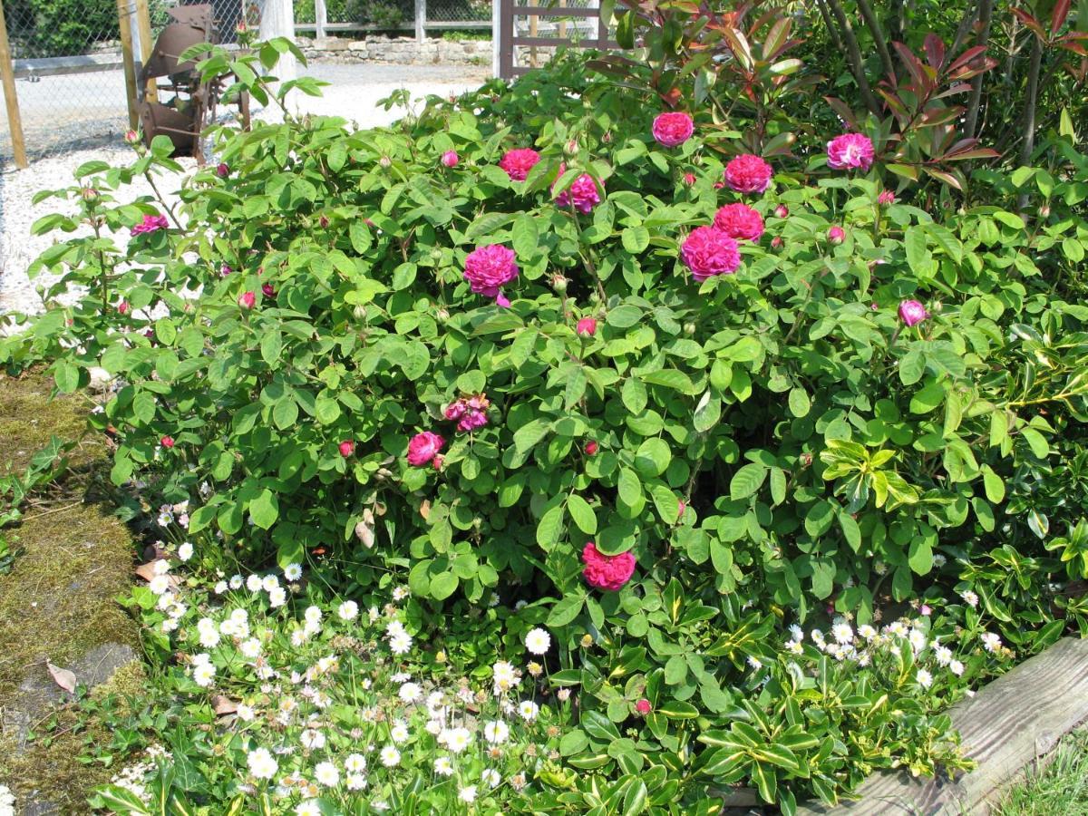 La Goulette Bed & Breakfast Commes Bagian luar foto
